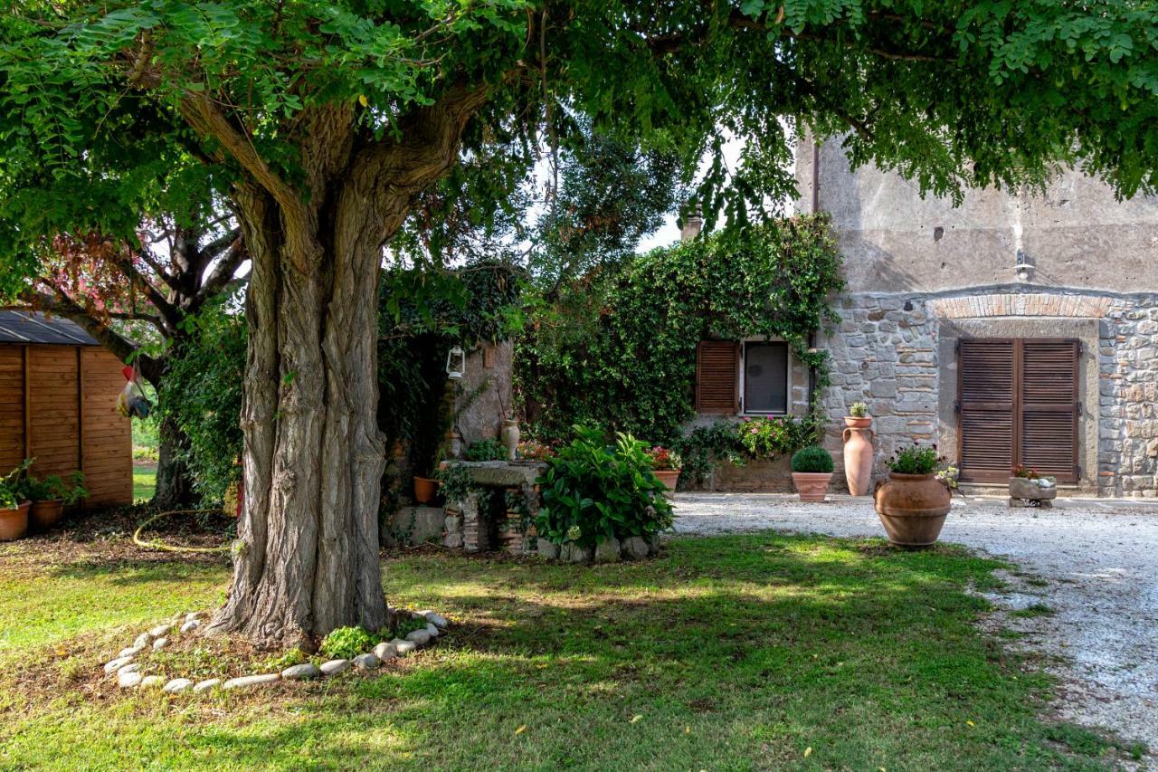 Il Castelletto Del Salamaro Viterbo Kültér fotó